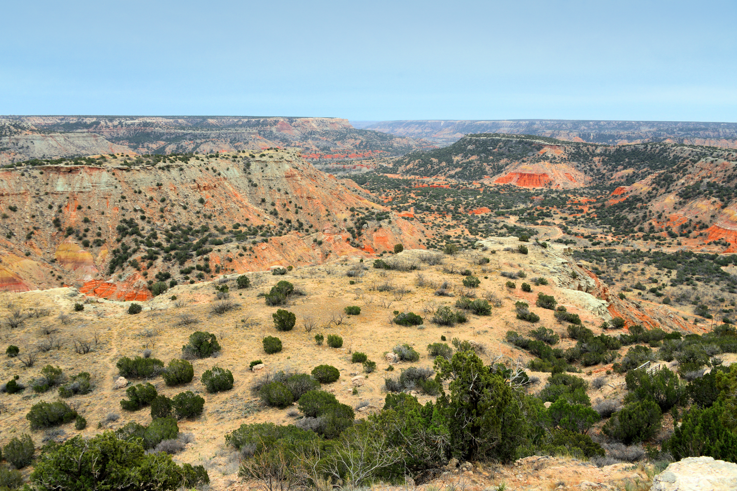 amarillo, texas (3).webp